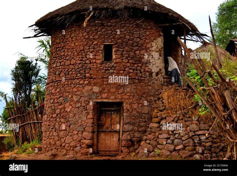  Living Stones: An Ethiopian Story of Building and Community - การก่อสร้างจากหินชีวิตและการรวมตัวของชุมชน